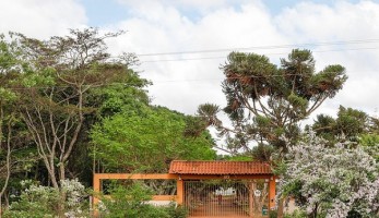 uma propriedade rodeada de arbustos