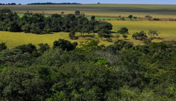 sustentabilidade-agro-pravaler