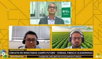 Seca impacta produtividade de soja e milho na safra 2021/22