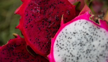 Comissão de Fruticultura da CNA debate ações para 2023