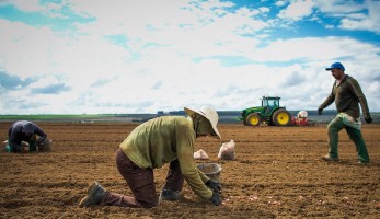CNA orienta produtores que desejam acessar o Programa Terra Brasil