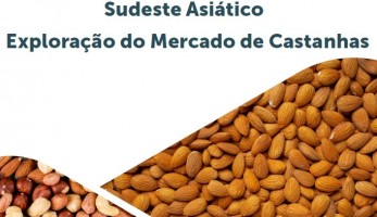 Estudo da CNA mostra oportunidades para as castanhas brasileiras no Sudeste da Ásia