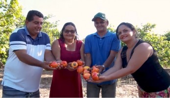 ATeG fez produção saltar de 5 mil para 10 mil quilos do fruto