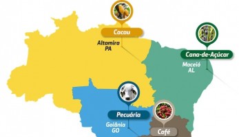 Campo Futuro