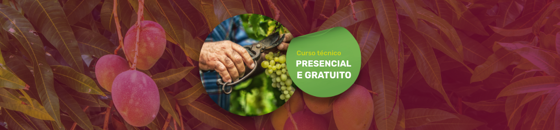 Banner com imagens do curso técnico em fruticultura