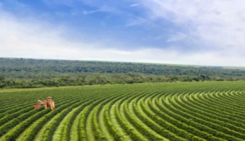 Imagem aérea de plantação para estudantes do Curso Técnico em Agricultura